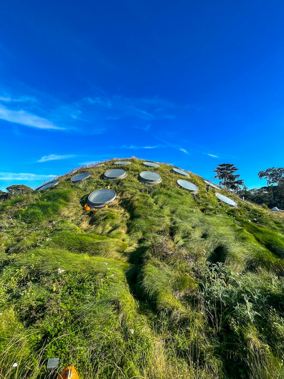 Eco-Friendly Residence